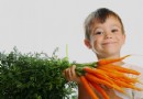 10 einfache und gesunde Karottenrezepte für Kinder 