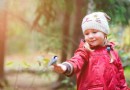 Schöne Vogelgedichte für Kinder 