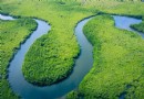 Interessante Fakten über den Amazonas für Kinder 