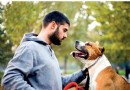 Eigenschaften eines guten Hundetrainers 