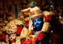 Glücklicher Janmashtami! 