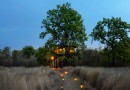 Leben Sie das Lodge-Leben! Indiens beste Safari-Lodges 