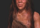 Alter Neandertaler-Denisova-Hybrid in sibirischer Höhle ausgegraben 