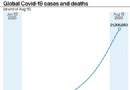 Forscher untersuchen Zusammenhang zwischen Coronavirus-Lockdown und Allergien 