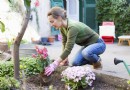 Die besten Gartentipps – Ihr ultimativer Ratgeber 