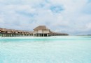 8 Gründe, warum Tahiti das Paradies auf Erden ist 