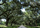 Erstbesucher-Leitfaden für Charleston 