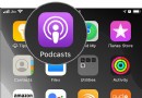 Entfernen Sie Shows und Episoden aus der Podcasts-App auf dem iPhone oder iPad 