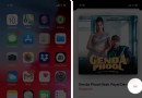 So teilen Sie Apple Music Songs mit Instagram Stories auf dem iPhone 