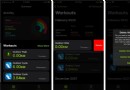 So löschen Sie ein Apple Watch-Training 