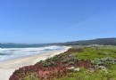 Warum Sie Half Moon Bay als Ihren nächsten Traumurlaub besuchen sollten! 