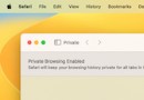 Wie und warum das private Surfen in Safari unter macOS verwendet wird 