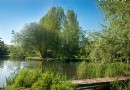 Naturschwimmbäder – alles, was Sie wissen müssen 