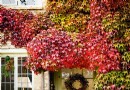 Deko-Ideen für den Herbst – 12 Möglichkeiten, die Saison zu genießen 