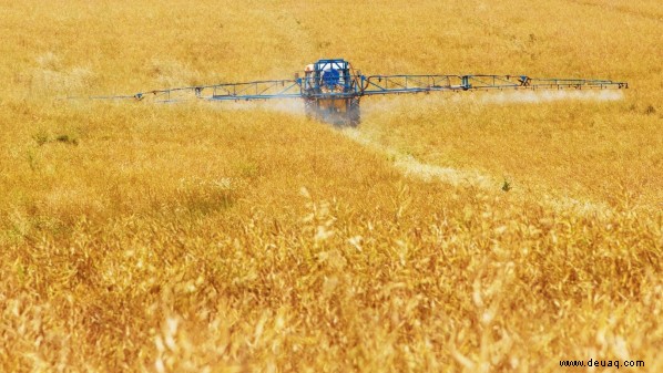 IBM veröffentlicht maßgeschneiderte Watson-KI für die Landwirtschaft