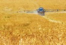 IBM veröffentlicht maßgeschneiderte Watson-KI für die Landwirtschaft