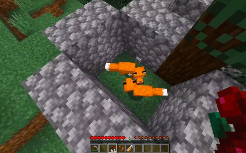 Wie man einen Fuchs in Minecraft zähmt