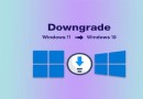 How to Downgrade auf Windows 10 von Windows 11